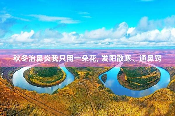 秋冬治鼻炎我只用一朵花, 发阳散寒、通鼻窍