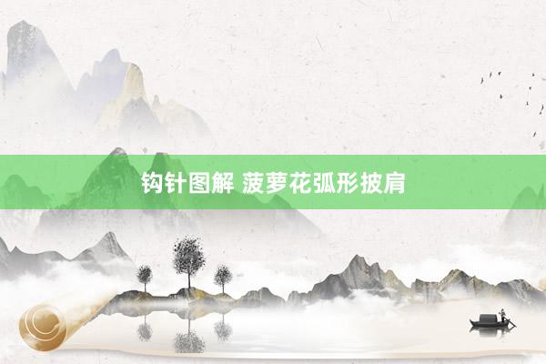 钩针图解 菠萝花弧形披肩