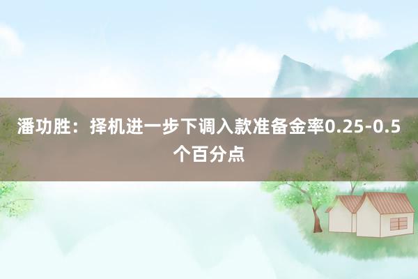 潘功胜：择机进一步下调入款准备金率0.25-0.5个百分点