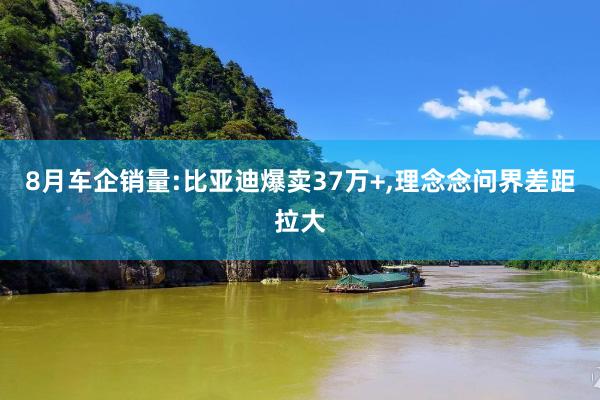 8月车企销量:比亚迪爆卖37万+,理念念问界差距拉大