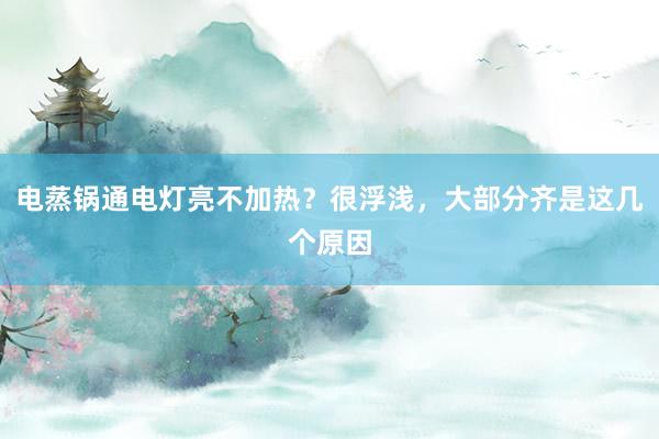 电蒸锅通电灯亮不加热？很浮浅，大部分齐是这几个原因