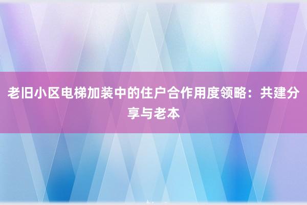 老旧小区电梯加装中的住户合作用度领略：共建分享与老本